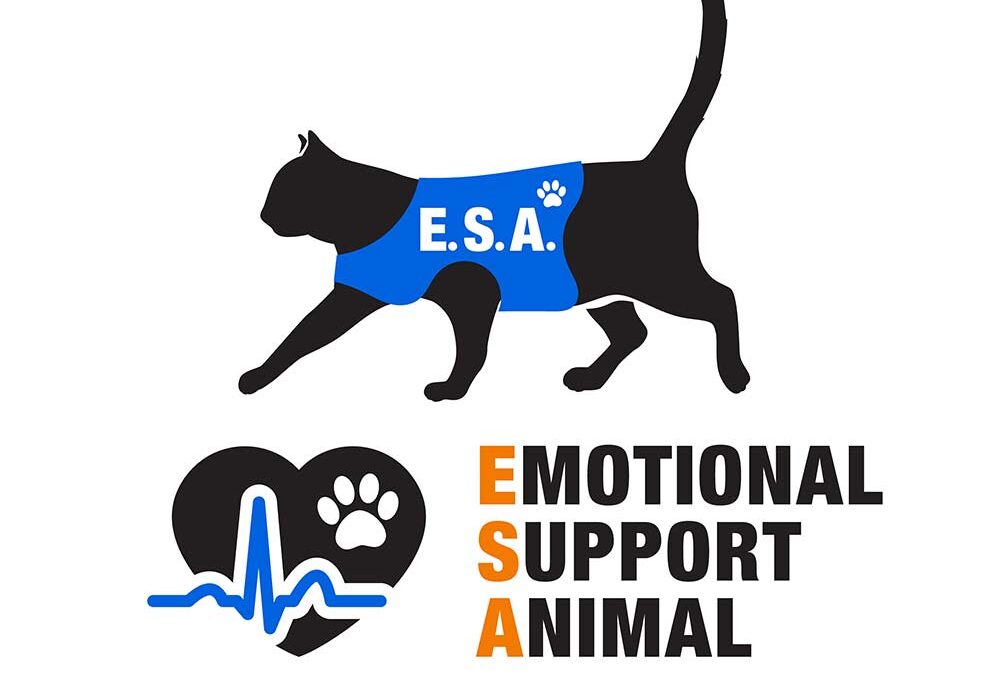 The Importance of Allowing Emotional Support Animals (ESAs) in Rental Properties