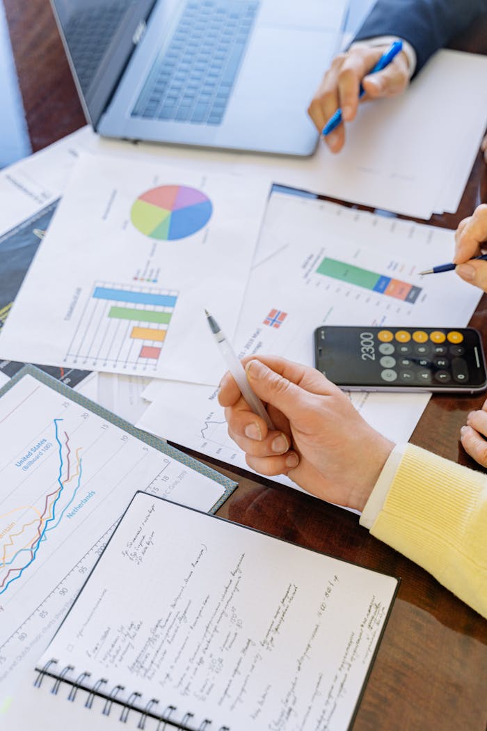 Services A close-up of businesspeople analyzing financial data and charts during a meeting.
